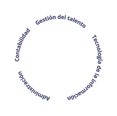 Administración Contabilidad Gestión del talento Tecnología de la información